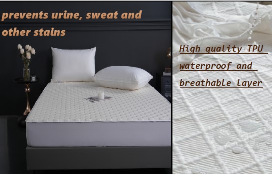 ZC24010 Ultra Soft Premium Cotton Jacquard Waterproof Mattress Protector